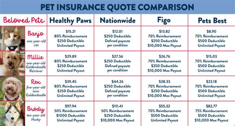 Dog Insurance Plans for Your Pet .